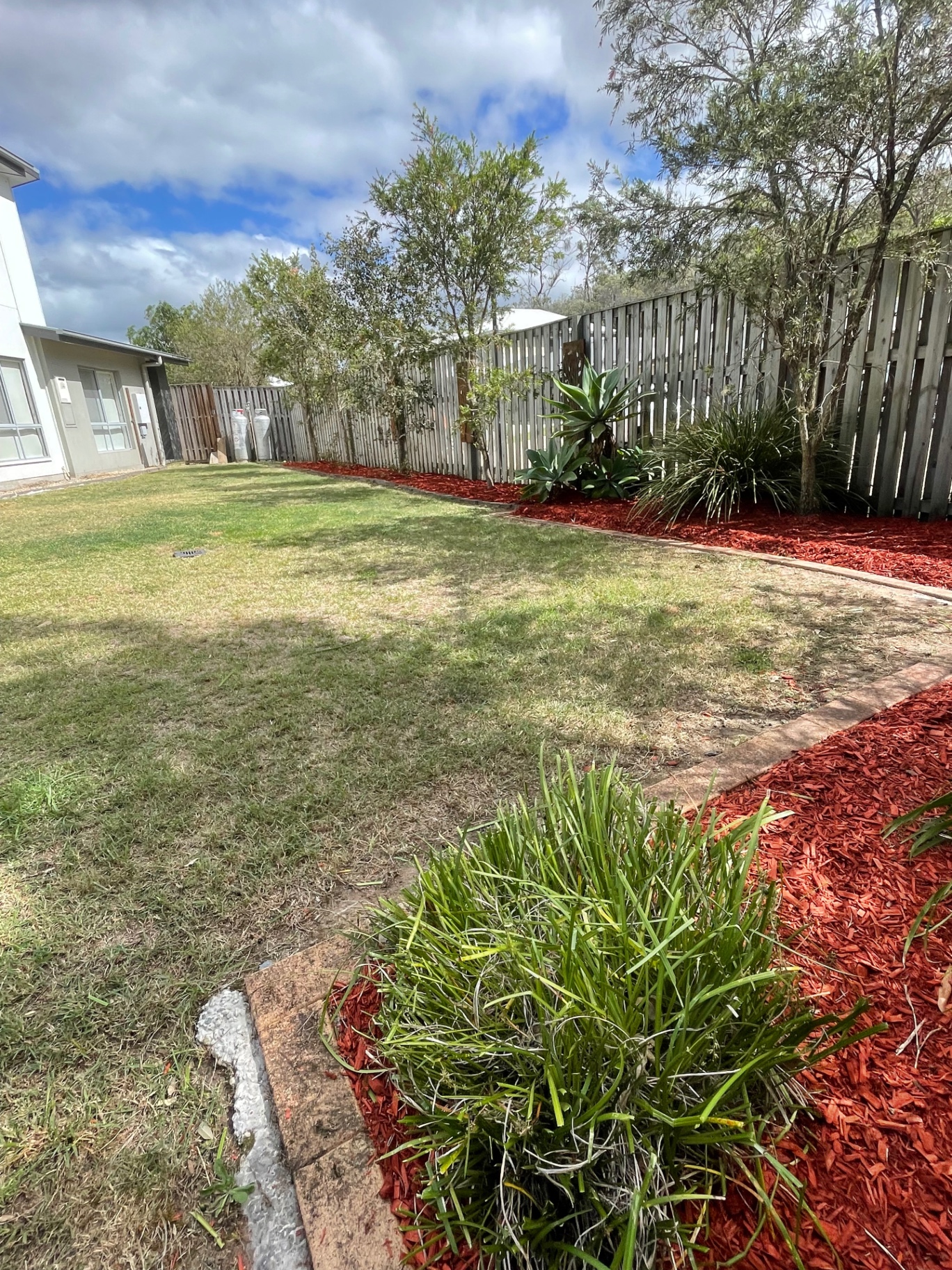 Backyard with fresh red mulch garden beds