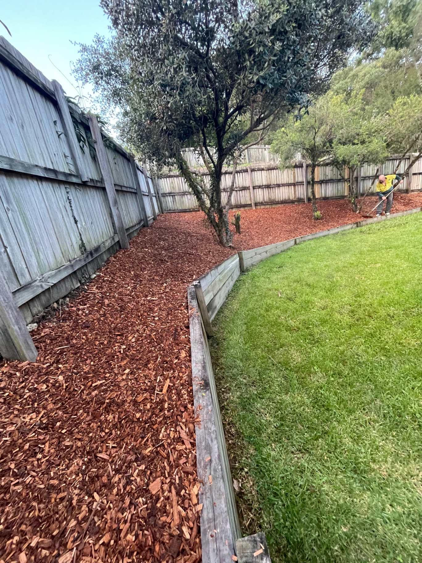 Mulched garden path along fence line